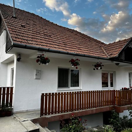 Balazs Vendeghaz Aparthotel Lupeni  Εξωτερικό φωτογραφία