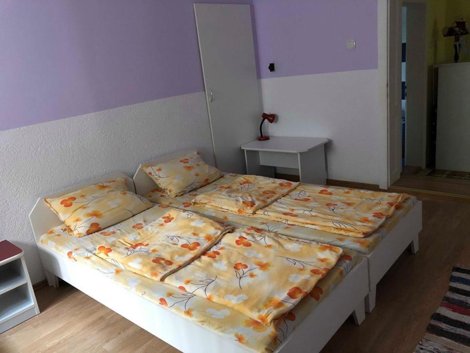 Balazs Vendeghaz Aparthotel Lupeni  Εξωτερικό φωτογραφία